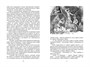 Мифы Древней Греции (архив) 628813277