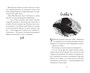 Хроники темных времен. Кн.2. Сердце Волка 780437490