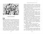 Миры Крестоманси. Девять жизней Кристофера Чанта 841948671