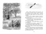 Зачем белке хвост. Рассказы и повесть 525905960