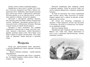 Зачем белке хвост. Рассказы и повесть 525905960