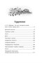 Шалуны и ротозеи (Чтение-лучшее учение) 1880958587