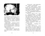 Странная кража 1981649373