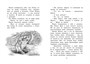 Нэнси Клэнси. Суперсыщик 1568435541