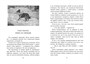 Лесси (илл) 540485451