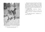Лесси (илл) 540485451