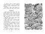 Беспокойный хвостик (илл. Юрий Николаев и др.) 636645453