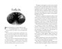 Хроники темных времен. Кн.5. Клятва мстителя 363190945