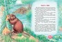 Большая книга сказок (илл. Мария Белоусова и др.) 749832164