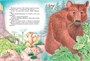 Большая книга сказок (илл. Мария Белоусова и др.) 749832164