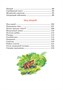 Лесные тайнички (интегральный) 210303543
