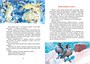 Лесные тайнички (интегральный) 210303543