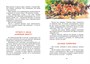 Лесные тайнички (интегральный) 210303543