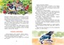 Лесные тайнички (интегральный) 210303543