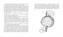 Витя Малеев в школе и дома (архив) 614888325