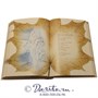 Книга «Русь бесприютная» 436951998