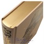 Книга «Голубень» 555111645