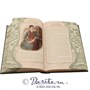 Книга «Дом с мезонином» 1171248102