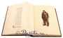 Книга «Мертвые души» 1307823661