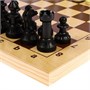 Шахматы + Шашки "АЙВЕНГО" (Россия, Дерево, 43х22х6 см) 1138511988