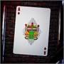 Карты "Theory11 Teenage Mutant Ninja Turtles Playing Cards" 1061234647