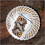 Карты "The Watcher playing cards Standard Index" 1981770693