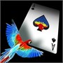 Карты "Infinity playing cards by D3PSY Standard index" 50394676