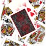 Карты "Bicycle Shin Lim Standard index" 1621516440