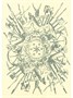 Карты "Confederate Generals Playing Card Deck" 354230984