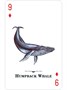 Карты "Endangered Species of the Natural World Playing Cards" 1749263835