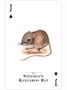 Карты "Endangered Species of the Natural World Playing Cards" 1749263835