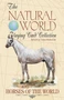 Карты "Horses of the Natural World Playing Cards" 1709912561