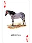 Карты "Horses of the Natural World Playing Cards" 1709912561