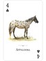Карты "Horses of the Natural World Playing Cards" 1709912561