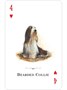 Карты "Dogs of the Natural World Playing Cards" 268313265