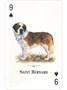 Карты "Dogs of the Natural World Playing Cards" 268313265
