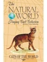 Карты "Cats of the Natural World Playing Cards" 865721141