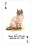 Карты "Cats of the Natural World Playing Cards" 865721141