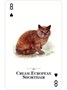 Карты "Cats of the Natural World Playing Cards" 865721141