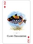 Карты "Aquarium of the Natural World Playing Cards" 1084639907