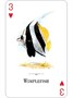 Карты "Aquarium of the Natural World Playing Cards" 1084639907