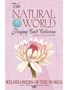 Карты "Wildflowers of the Natural World Playing Cards" 1626984958