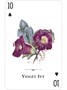 Карты "Wildflowers of the Natural World Playing Cards" 1626984958