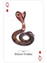 Карты "Reptiles & Amphibians of the Natural World Playing Cards" 2012042279