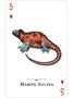 Карты "Reptiles & Amphibians of the Natural World Playing Cards" 2012042279