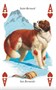 Карты "Dogs Playing Cards" 1256890776