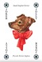 Карты "Dogs Playing Cards" 1256890776