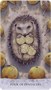 Карты Таро "Tarot of Tides: The Adventures of a duck Named Bob" US Games / Таро приливов 1569281442