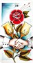 Карты Таро "Eight Coins Tattoo Tarot Borderless Miniature" US Games / Миниатюрное издание «Т 2134926938