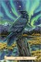 Карты Таро "Everyday Witch's Familiars Oracle" Llewellyn / Фамильяры Повседневной Ведьмы - Оракул 1341615969
